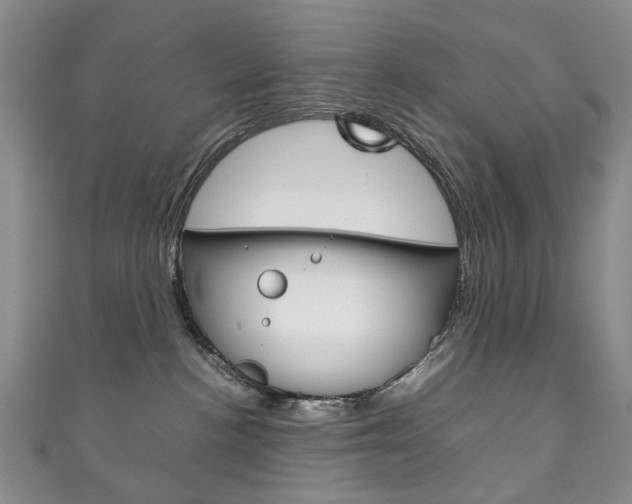 X0000111210188200907011059