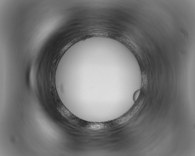 X0000111210189200907011059