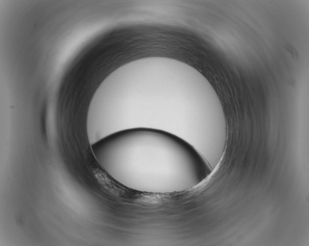 X0000111210190200907011059