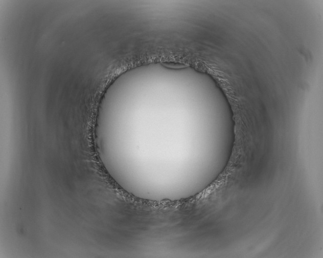 X0000111210192200907011059