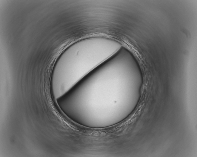 X0000111210193200907011058