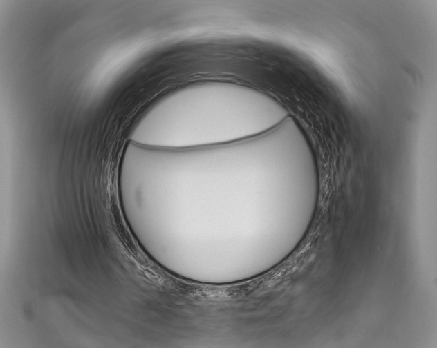 X0000111210194200907011058