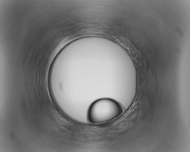 X0000111210195200907011058