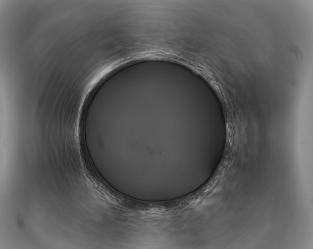 X0000111210196200907011058