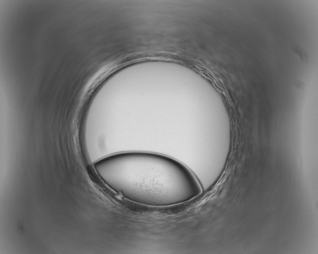 X0000111210197200907011058