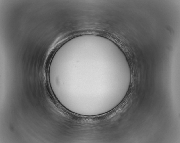 X0000111210198200907011058