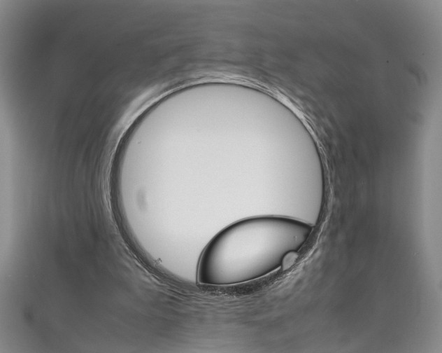 X0000111210199200907011058