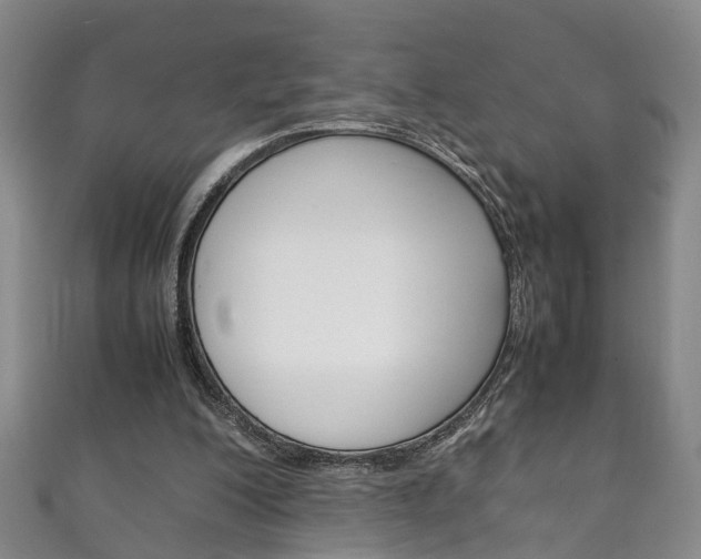 X0000111210200200907011058