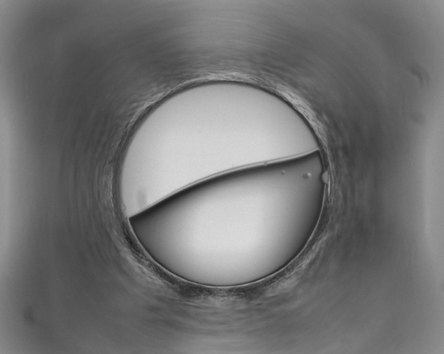 X0000111210201200907011058