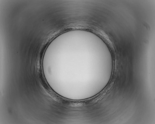 X0000111210202200907011058