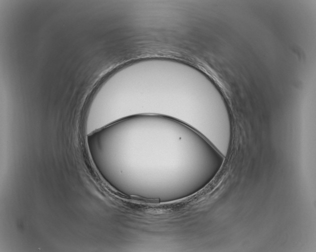 X0000111210203200907011058