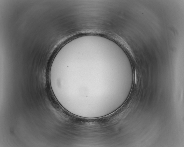 X0000111210204200907011058