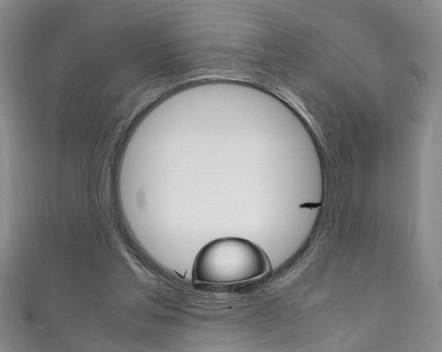 X0000111210205200907011058