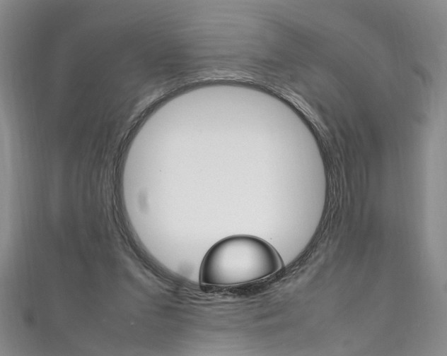 X0000111210207200907011058