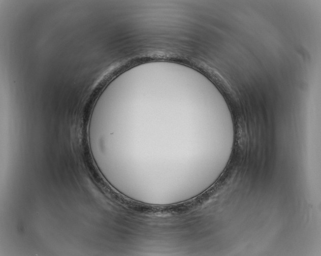 X0000111210208200907011058