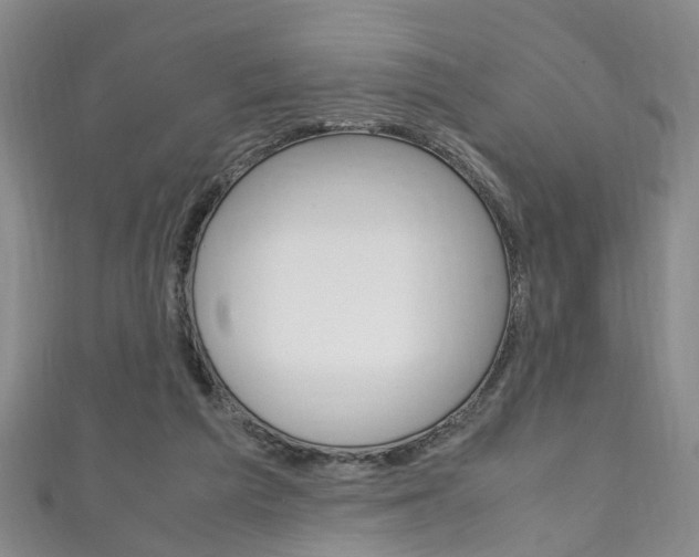 X0000111210209200907011058