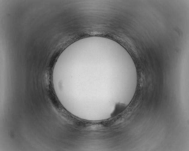 X0000111210210200907011058