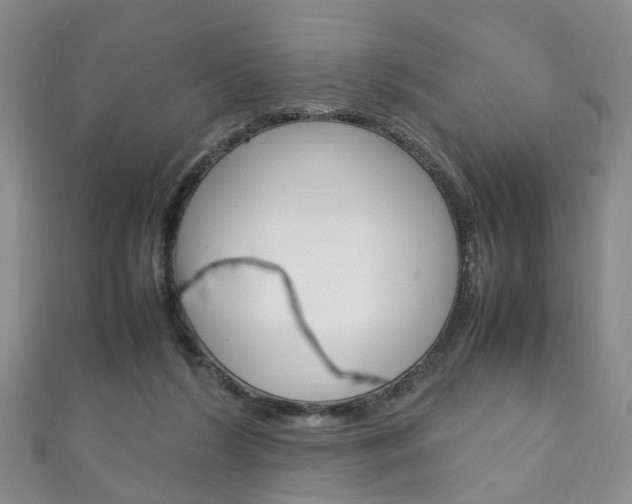 X0000111210212200907011058