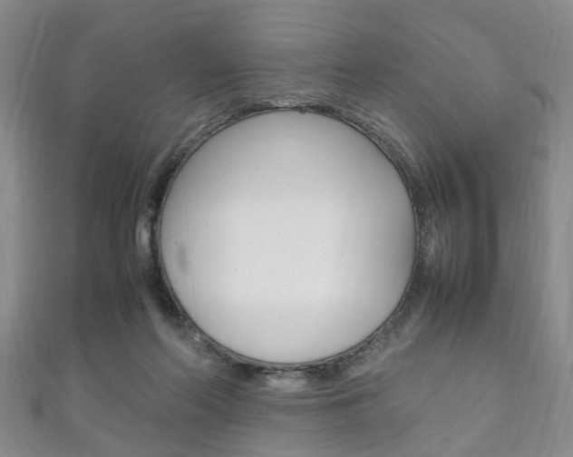 X0000111210214200907011058