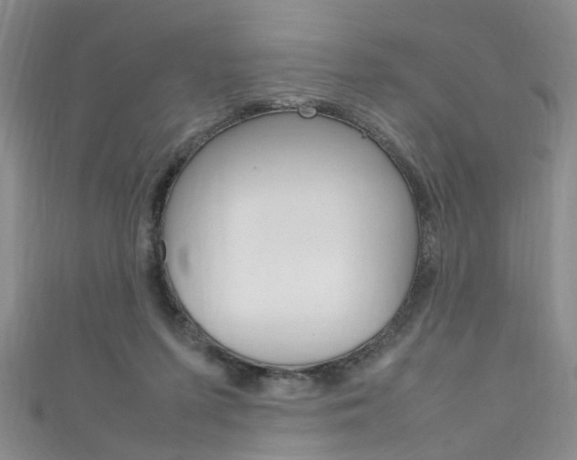 X0000111210215200907011058