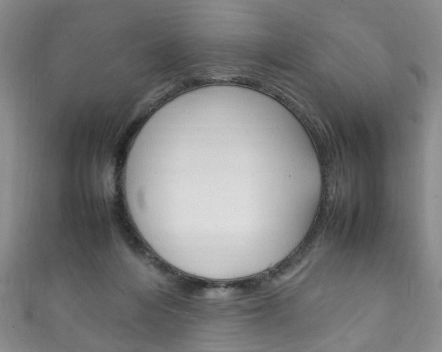 X0000111210216200907011058