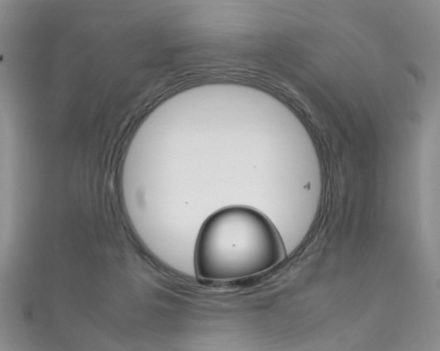 X0000111210217200907011058