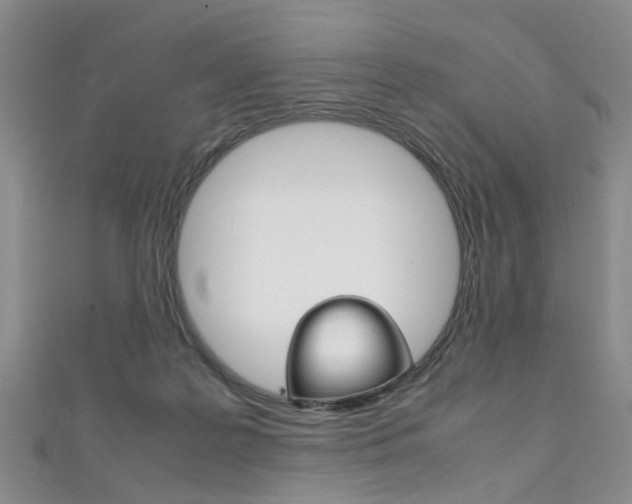 X0000111210219200907011058