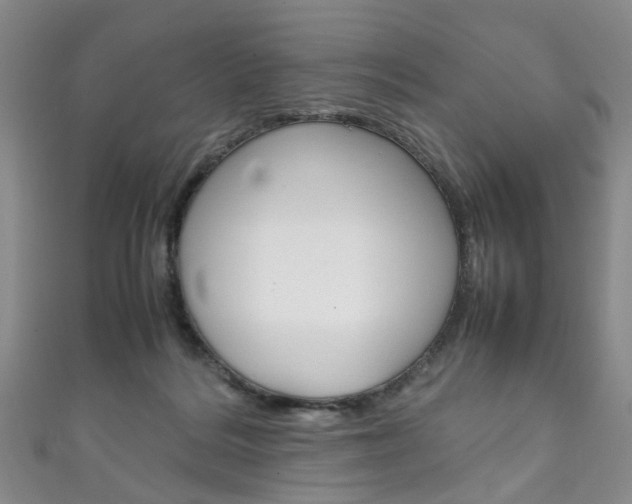 X0000111210220200907011058