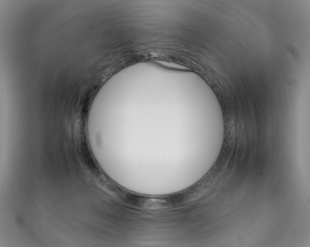 X0000111210222200907011058