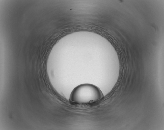 X0000111210223200907011058