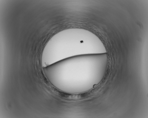 X0000111210225200907011058