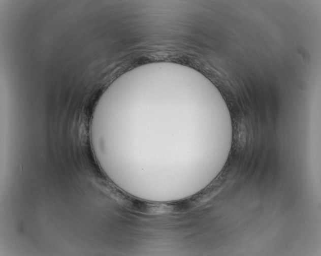 X0000111210226200907011058