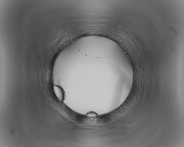 X0000111210227200907011058