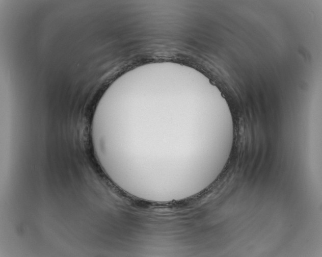 X0000111210228200907011058