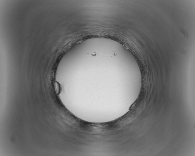 X0000111210229200907011058