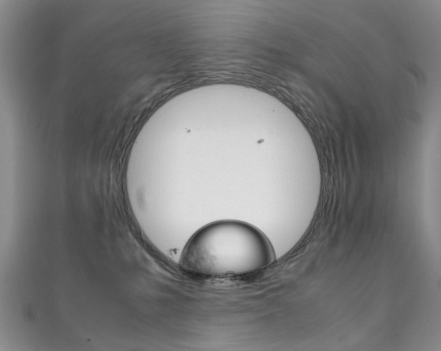 X0000111210231200907011058