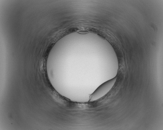 X0000111210233200907011058