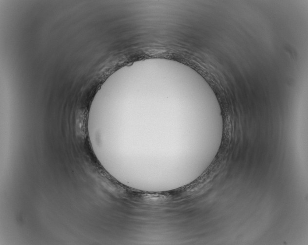 X0000111210234200907011058