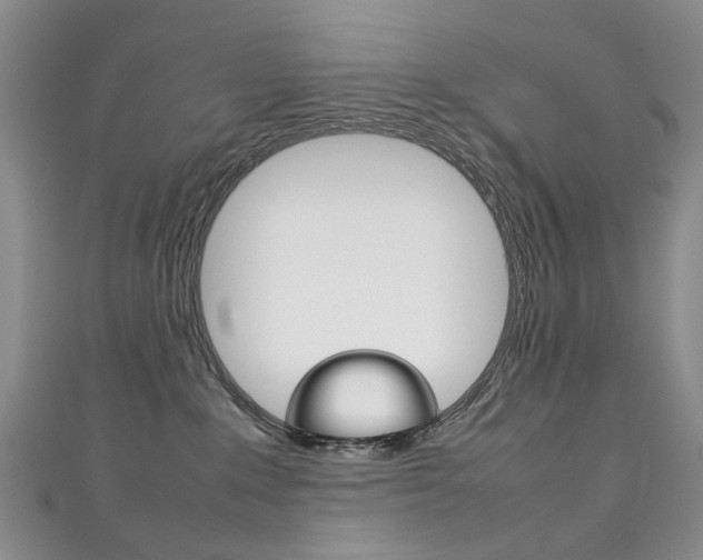 X0000111210235200907011058