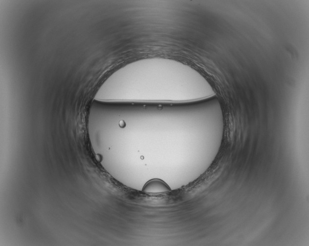 X0000111210236200907011058