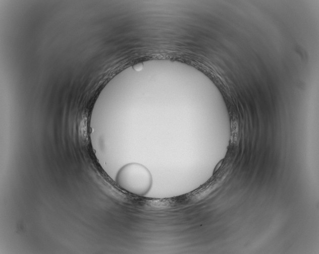 X0000111210238200907011058