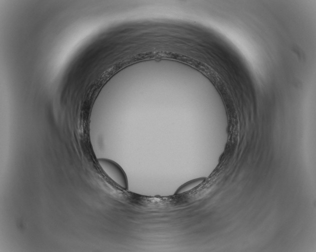 X0000111210239200907011058