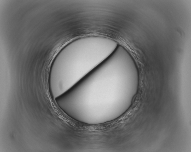 X0000111210241200907011057