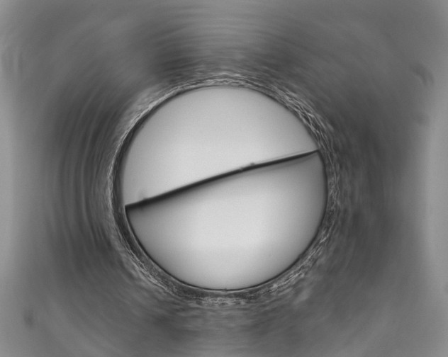 X0000111210242200907011057