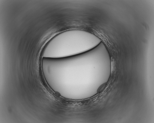 X0000111210243200907011057