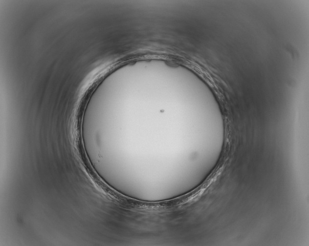 X0000111210245200907011057