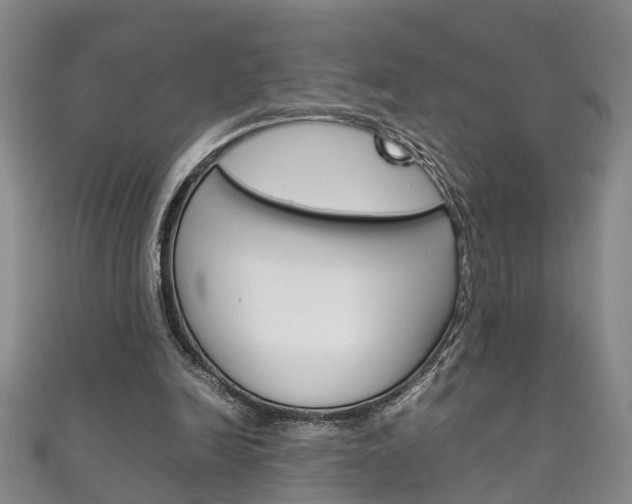 X0000111210246200907011057