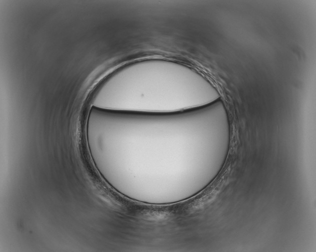 X0000111210247200907011057