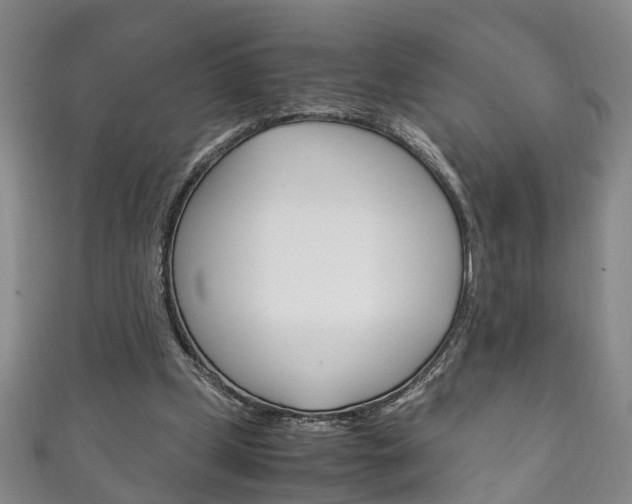 X0000111210249200907011057