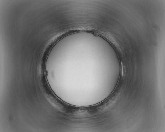 X0000111210252200907011057